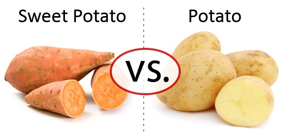 sweet potato vs potato
