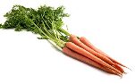 antioxidant-carrots