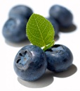 blueberries-benefit
