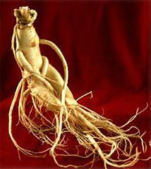 the-benefits-of-ginseng